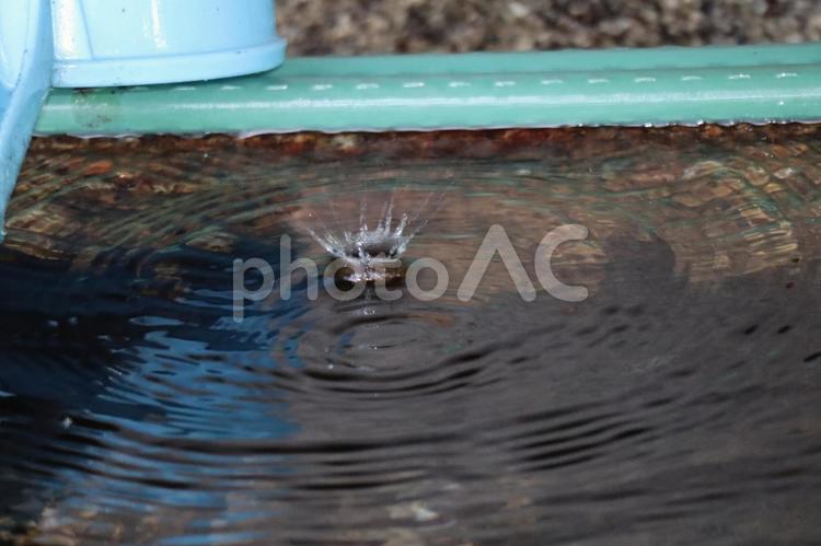 水の王冠の出来た水面 水,王冠,出来たの写真素材