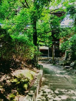 水間寺の自然豊かな参道 水間寺の自然豊かな参道の写真