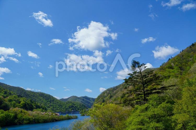 青い空と自然風景 青空,空,青の写真素材