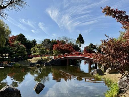 秋の昼間の紫式部公園　11月　紅葉 秋,紫式部公園,紅葉の写真素材