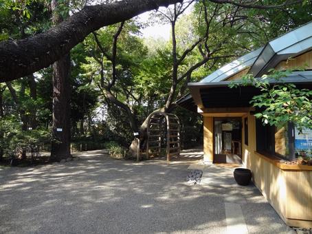 牧野記念庭園の展示室 牧野記念庭園の展示室の写真