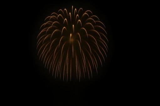 しだれ柳風の花火 しだれ柳風の花火の写真