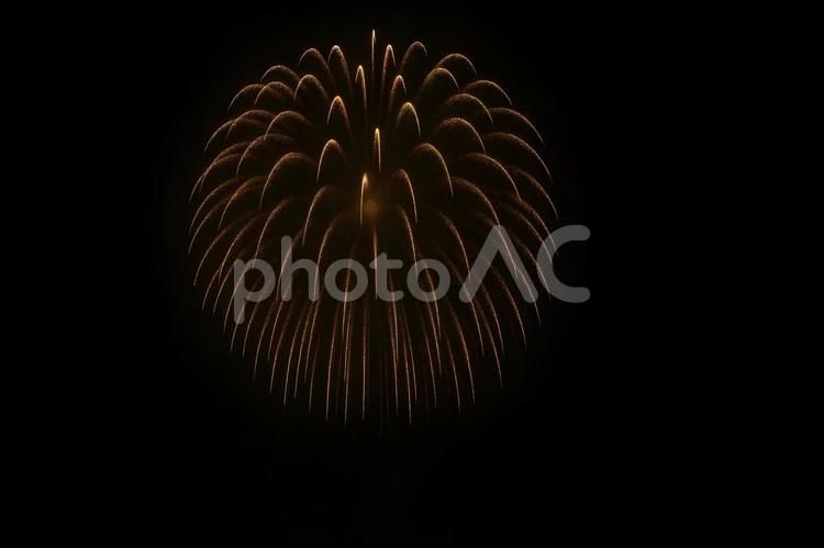 しだれ柳風の花火 花火,夜空,夜景の写真素材