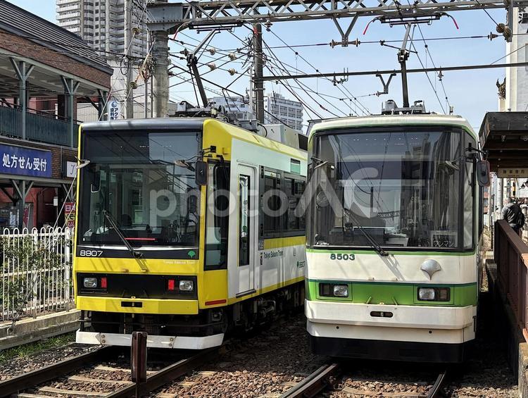 2台並ぶ都電荒川線電車 荒川線,チンチン電車,東京さくらトラムの写真素材