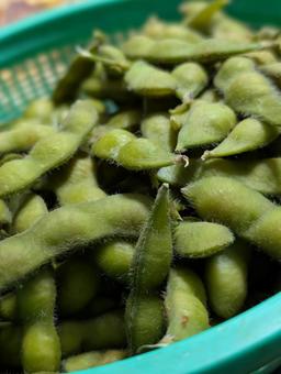 ザルに入った枝豆 枝豆,ザル,塩ゆでの写真素材