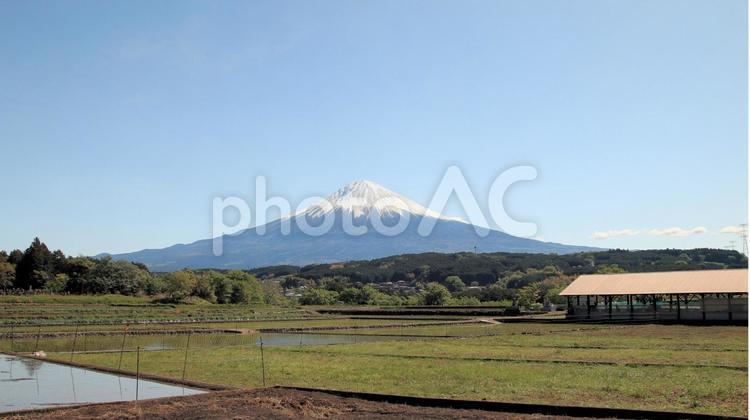 五月の芝川柚野の里からの富士山眺望 富士山,柚野の里,初夏の写真素材
