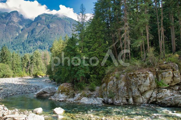 ニコラム川　コキハラ渓谷州立公園、 ニコラム川,川,木々の写真素材