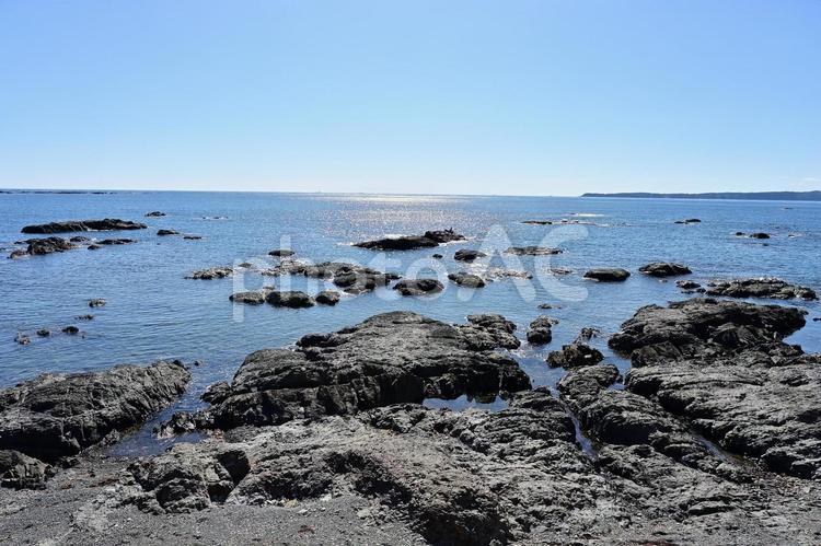紀伊半島の波打ち際 紀伊半島,波打ち際,海岸の写真素材