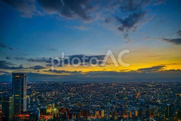 東京都庁の展望台から見える新宿の都市風景と夕景 東京,街並み,夕景の写真素材
