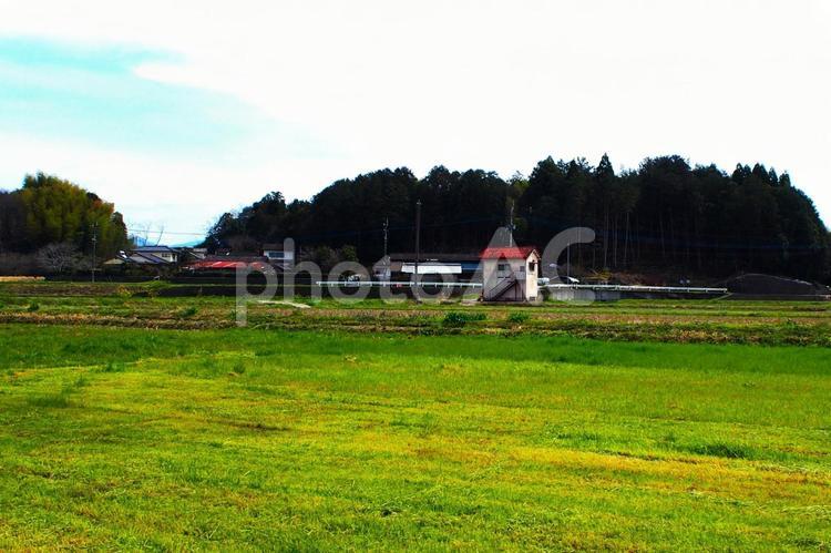 のどかな田舎風景（田園風景） 田園風景,田んぼ,田舎の写真素材