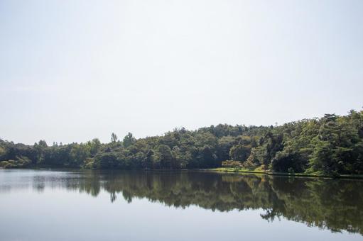 愛・地球博記念公園 かえで池 愛・地球博記念公園 かえで池 愛・地球博記念公園,かえで池,モリコロパークの写真素材