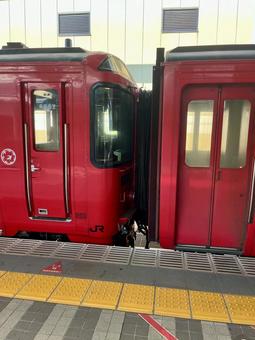 キハ185系 連結部分 大分駅,キハ185,特急の写真素材