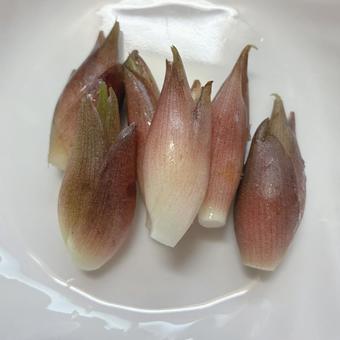 Photo, food, loading, a ginger, 
