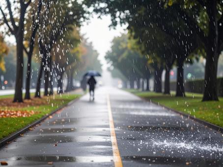 雨 雨の写真