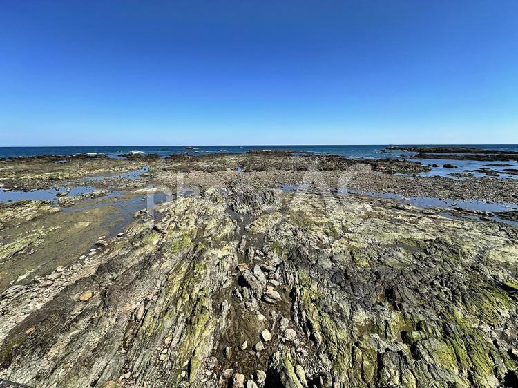 新宮市　三輪崎海岸　沿岸　鈴島　孔島 新宮市,三輪崎海岸,沿岸の写真素材