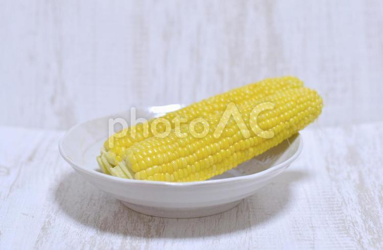 野菜　とうもろこし とうもろこし,トウモロコシ,もろこしの写真素材
