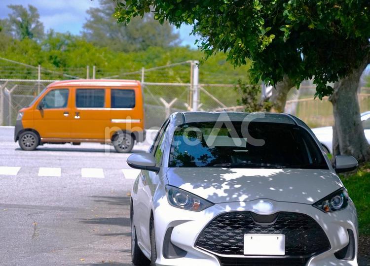 南国の木陰の日本車 車,木陰,道路の写真素材