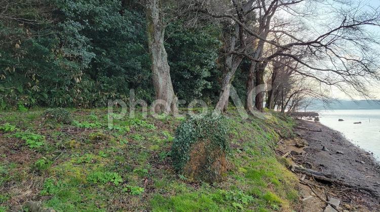 森林と岩場の湖畔 森林,岩場,湖畔の写真素材