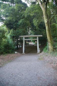 天の岩戸神社東本宮の鳥居と参道 天の岩戸神社東本宮の鳥居と参道 の写真