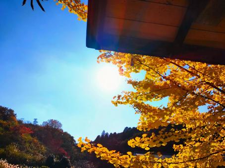 あずまやからの紅葉の写真