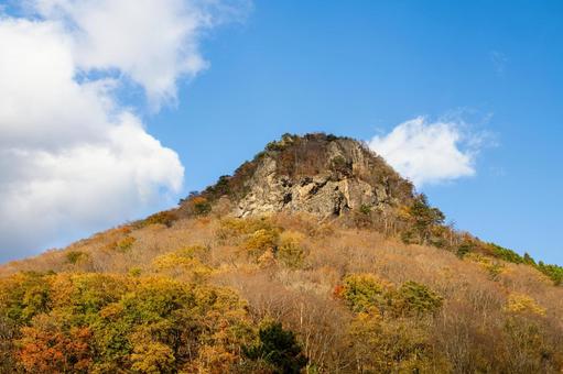 秋のゴリラ山⑵の写真