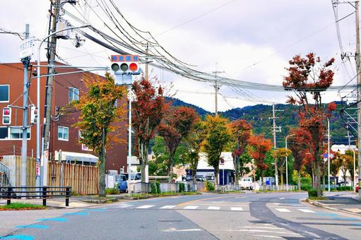 11月の信号待ち 信号待ち,交差点,t字路の写真素材