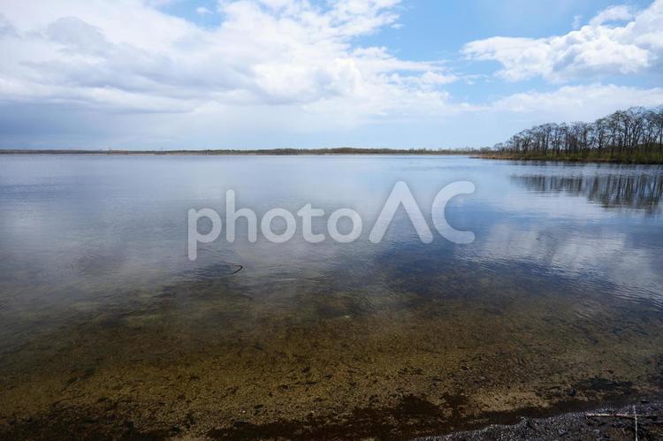 美しい池の景色 美しい池,澄んだ,清涼の写真素材