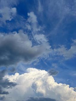 夏の空の雲 夏の空の雲の写真