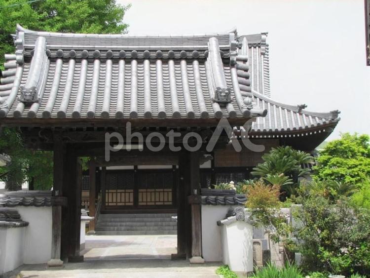 【風景写真】善教寺(広島県三原市)の風景 善教寺,浄土真宗,神社仏閣の写真素材