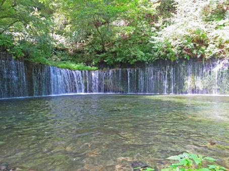 軽井沢の白糸の滝 白糸の滝,滝,軽井沢の写真素材