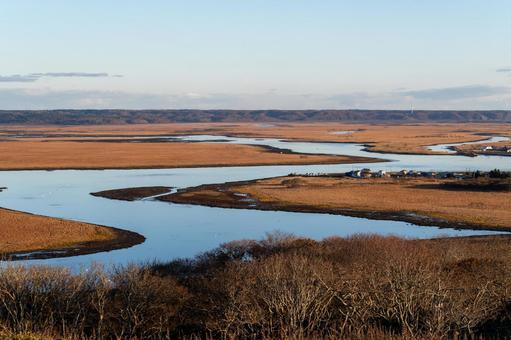  黄金色に染まる霧多布湿原を蛇行する川 湿原,川,蛇行の写真素材