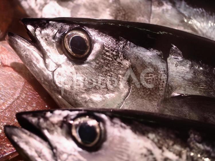 売物の魚のイメージ 市場,魚介類,鮮魚の写真素材