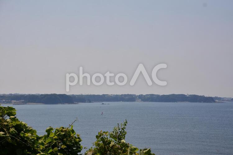 午後の海辺の水平線 海,防波堤,木の写真素材