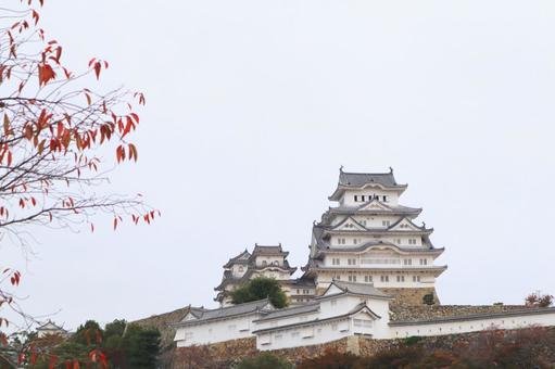 姫路城 秋 姫路城 秋の写真