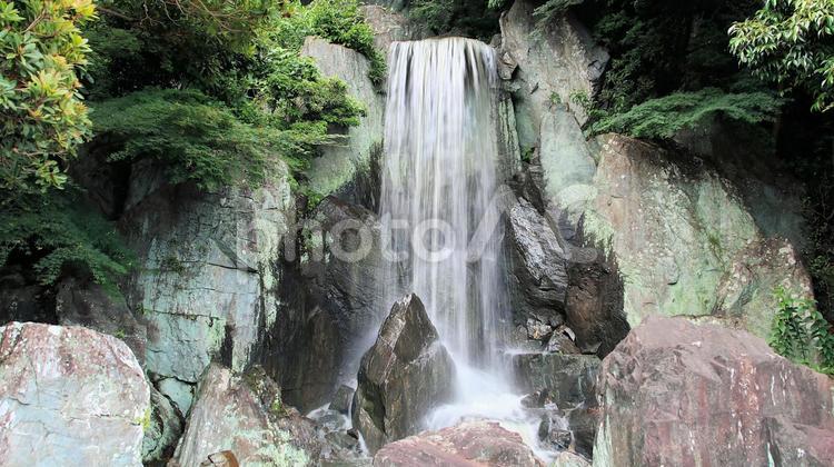 可睡ゆり園の滝 滝,夏,瀧の写真素材