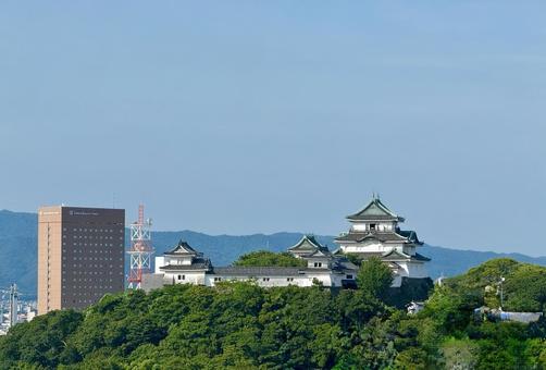和歌山城 和歌山城 和歌山,城,夜の写真素材