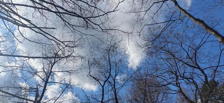 空 空の写真