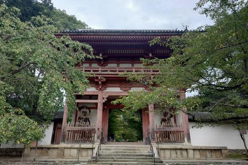京都府-醍醐寺-仁王門 京都府-醍醐寺-仁王門の写真