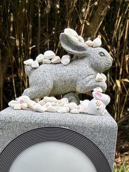 白兎神社 白兎神社 白兎神社,神社,うさぎの写真素材