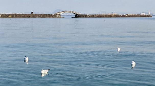 Photo, lake biwa, otsu, otsuko, 