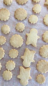 A scene of handmade cookies lined up, JPG