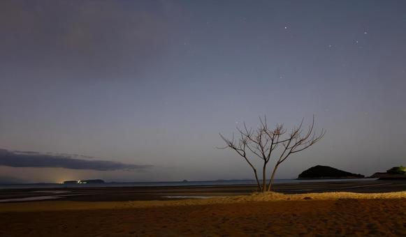 揺れる光、目覚めの浜辺 揺れる光、目覚めの浜辺 朝焼け,砂浜,星空の写真素材