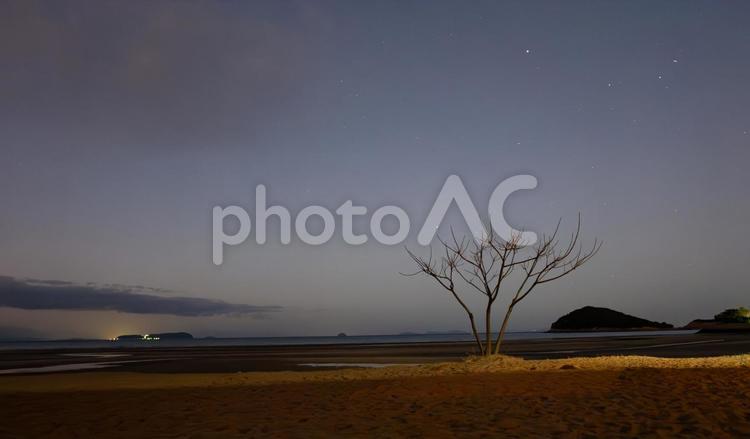 揺れる光、目覚めの浜辺 朝焼け,砂浜,星空の写真素材