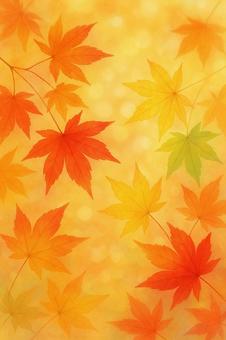 日本の秋：めくるめく色とりどりの紅葉 秋,紅葉,モミジの写真素材