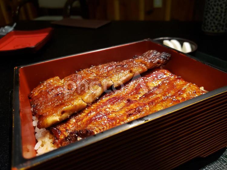鰻　うなぎ　鰻重　 食事,ディナー,日本食の写真素材
