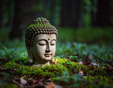 緑の中のブッダヘッドの写真