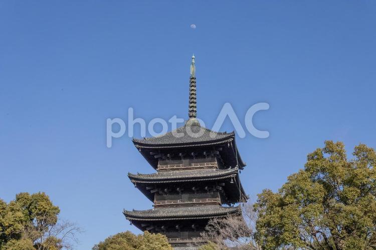 東寺 五重塔と昼の月（京都市南区） 東寺,教王護国寺,寺院の写真素材