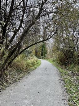 北米の遊歩道 風景,小道,散歩の写真素材