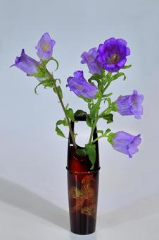 一輪挿しに挿した風鈴草 風鈴草,フウリンソウ,カンパニュラの写真素材