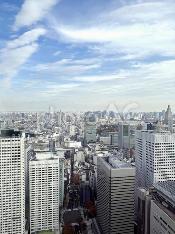 東京都庁の展望台から見た街並み 東京,旅行,風景の写真素材